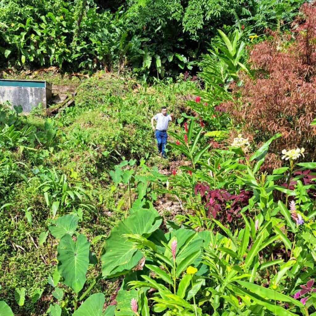 Mount Pure Water Gardener tending to the grounds