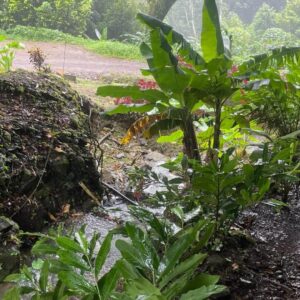 Natural Sulfur Spring water in Clabony Ancestral Spiritual Grounds